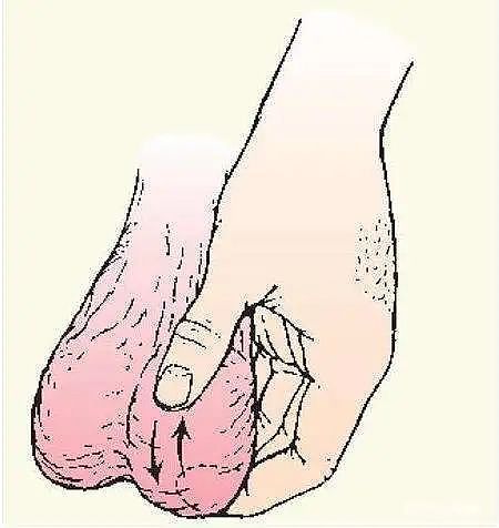 【两性】疑惑：蛋蛋越大，pa能力越强（组图） - 3