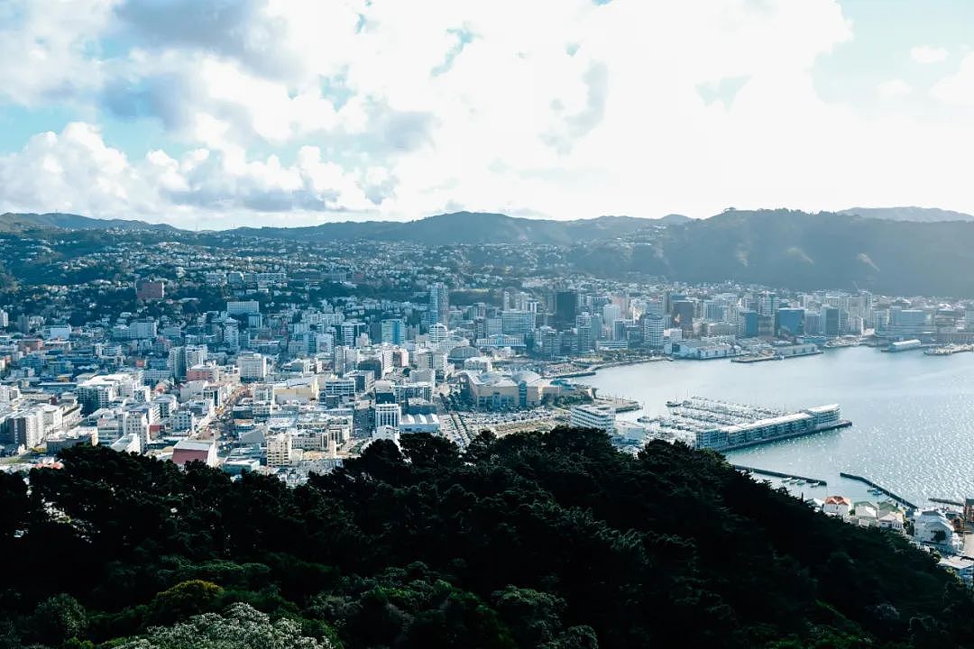 新西兰宣布,重建10所地方理工学院,利好职业教育(组图) - 4
