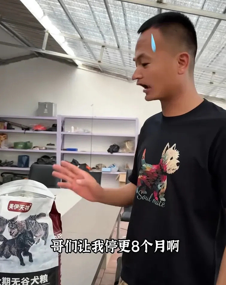 潘宏时隔8月复出喊冤,指责虐狗说是偏见,陈乔恩评论区再次沦陷(组图) - 14