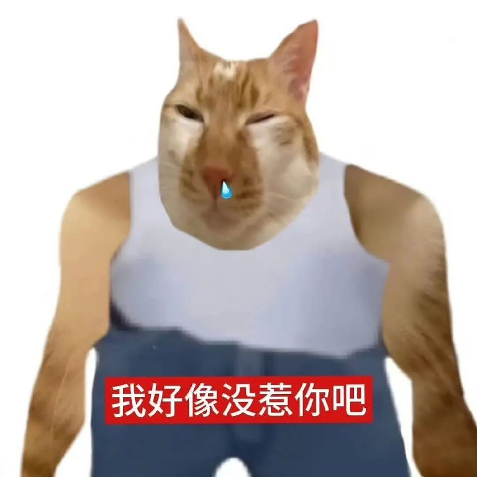 千万粉网红从未出过唱片，却戴面具不露脸开演唱会，一张门票价值968元，网友：真的有大冤种买单？（组图） - 13