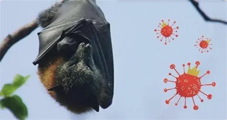 全身溃烂生不如死,暴瘦40斤,武汉首批新冠患者如今过得如何?(组图) - 2