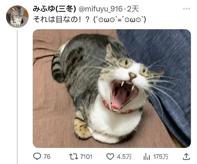 “给男友发暧昧信息却发给了爸爸…?”哈哈哈天塌了这个家待不下去了!(组图) - 26