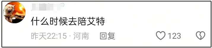 潘宏时隔8月复出喊冤,指责虐狗说是偏见,陈乔恩评论区再次沦陷(组图) - 10