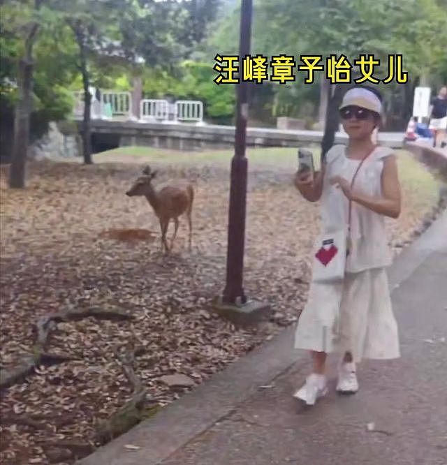 汪峰森林北两家同游，岳母对章子怡儿子笑不停，森林北变胖疑怀孕（组图） - 10