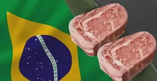 巴西牛排:断子绝孙的廉价肉交易(组图) - 1