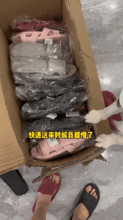 【宠物】自从狗子偷吃被主人留存了证据，狗子就玩起了36计，一顿迷惑操作后直取“首级”（组图） - 10
