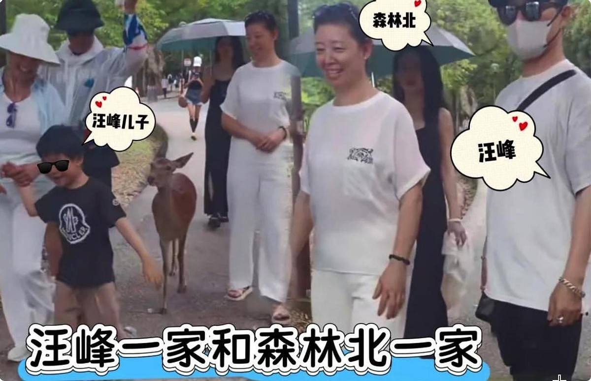 被汪峰新女友惊艳到了,身材苗条颜值吸睛,但这生图差距也太大了(组图) - 15