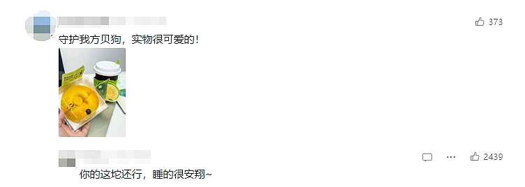 实物造型被吐槽“像拉了坨大的”！网友：这造型我很难评！奈雪新品“小狗贝果”大翻车？（组图） - 14