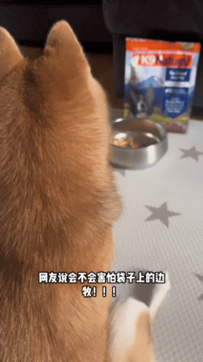 【宠物】自从狗子偷吃被主人留存了证据，狗子就玩起了36计，一顿迷惑操作后直取“首级”（组图） - 19