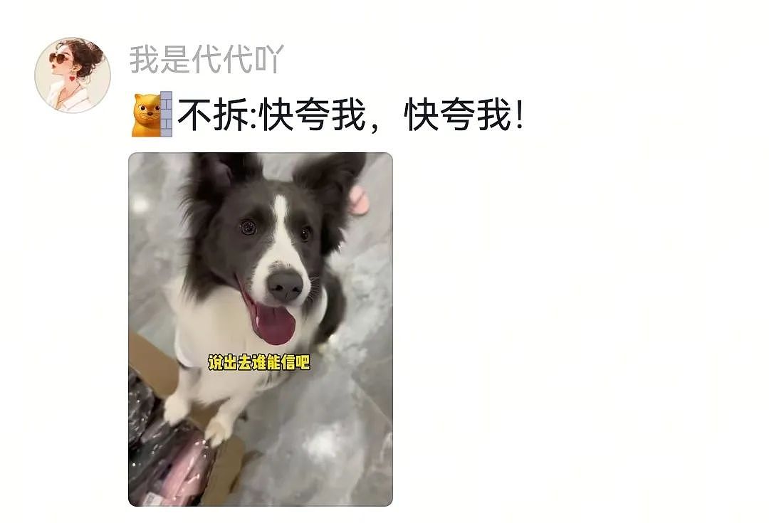 【宠物】自从狗子偷吃被主人留存了证据，狗子就玩起了36计，一顿迷惑操作后直取“首级”（组图） - 13