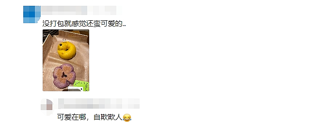 实物造型被吐槽“像拉了坨大的”！网友：这造型我很难评！奈雪新品“小狗贝果”大翻车？（组图） - 15
