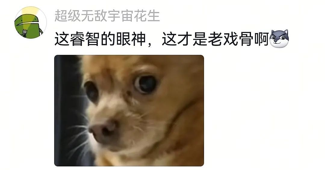 【宠物】自从狗子偷吃被主人留存了证据，狗子就玩起了36计，一顿迷惑操作后直取“首级”（组图） - 6