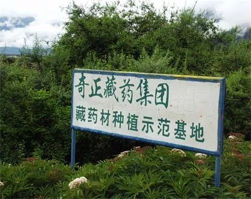 何超琼身边的白发老太,来头竟然这么大(组图) - 12