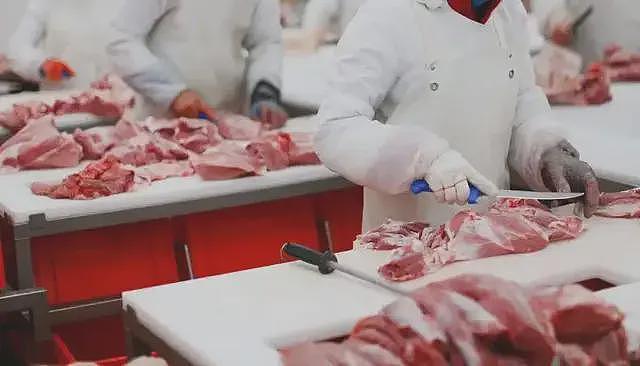 巴西牛排:断子绝孙的廉价肉交易(组图) - 9