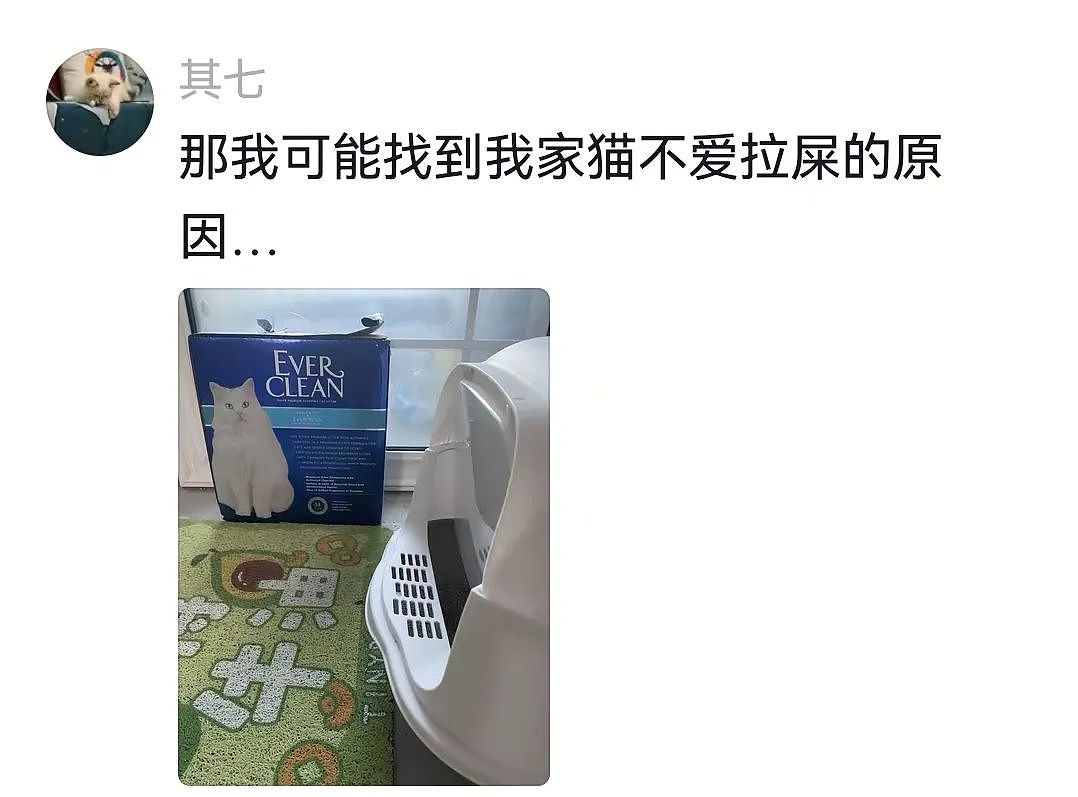 【宠物】自从狗子偷吃被主人留存了证据，狗子就玩起了36计，一顿迷惑操作后直取“首级”（组图） - 22