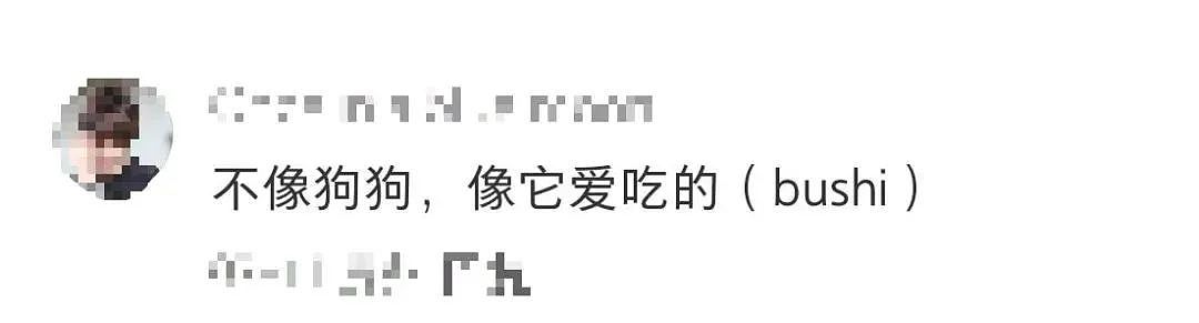 实物造型被吐槽“像拉了坨大的”！网友：这造型我很难评！奈雪新品“小狗贝果”大翻车？（组图） - 12