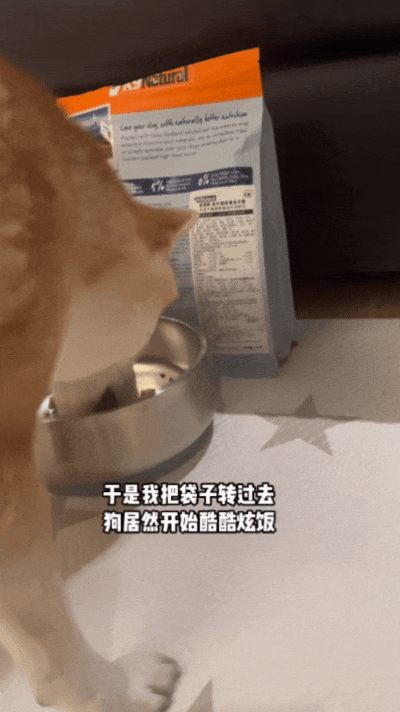 【宠物】自从狗子偷吃被主人留存了证据，狗子就玩起了36计，一顿迷惑操作后直取“首级”（组图） - 20
