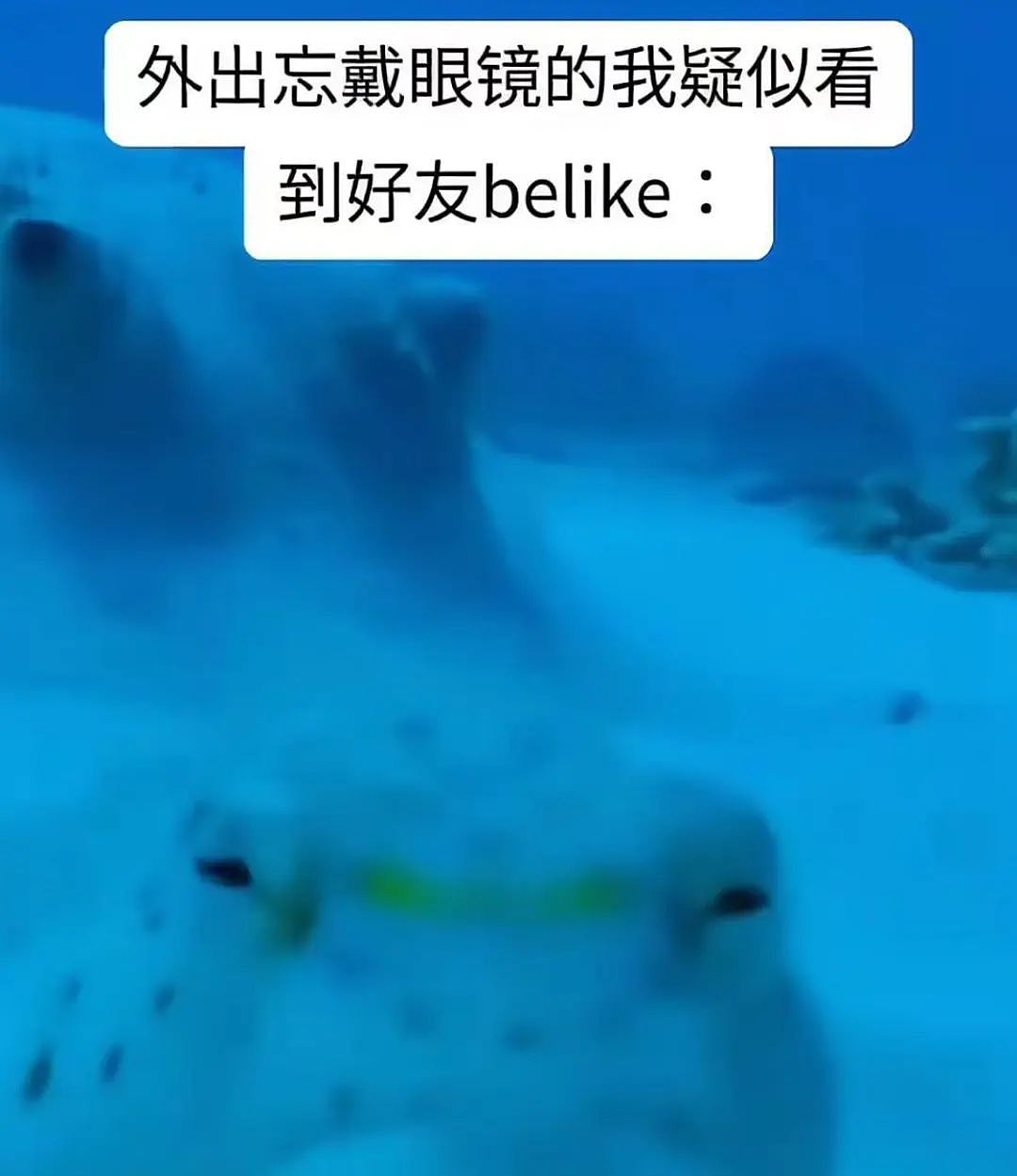 【爆笑】小三劝原配多关心老公…?网友:三姐爱上原配的抓马大戏(组图) - 51