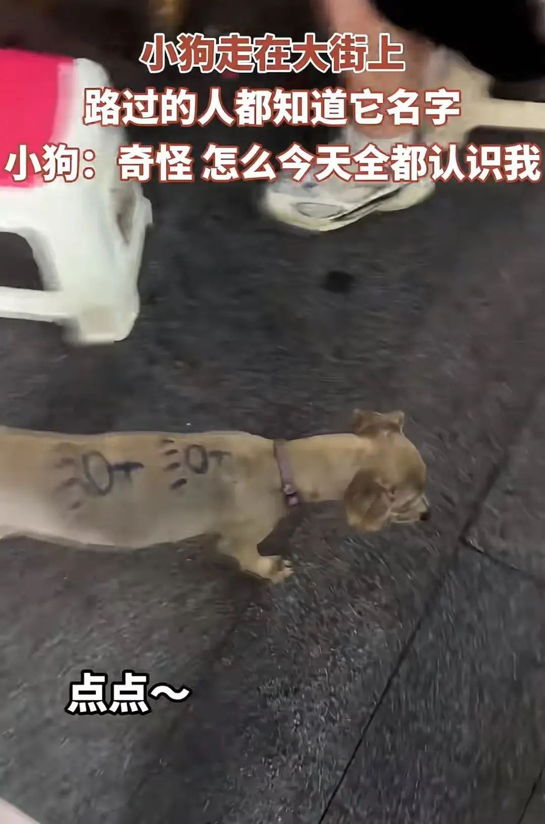 【爆笑】小三劝原配多关心老公…?网友:三姐爱上原配的抓马大戏(组图) - 47
