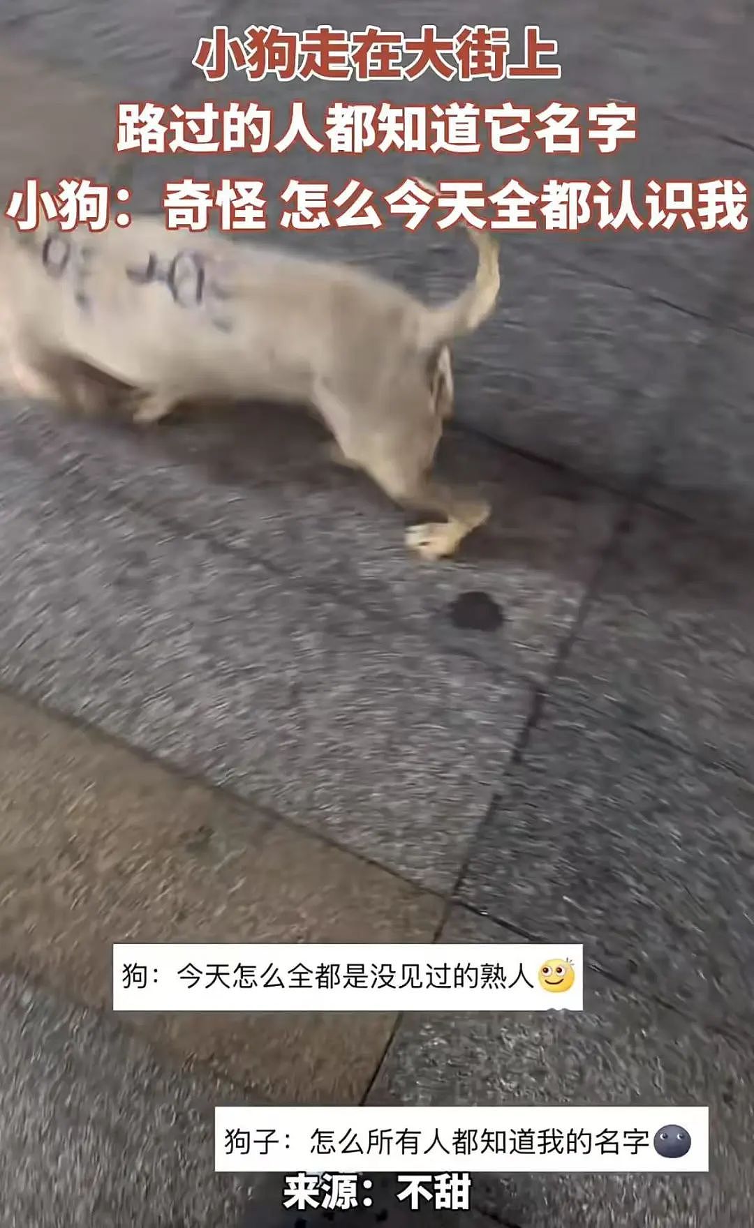 【爆笑】小三劝原配多关心老公…?网友:三姐爱上原配的抓马大戏(组图) - 48