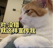 笑不活了！拜佛、拔罐、保温杯…各国运动员集体迷信东方玄学（组图） - 20