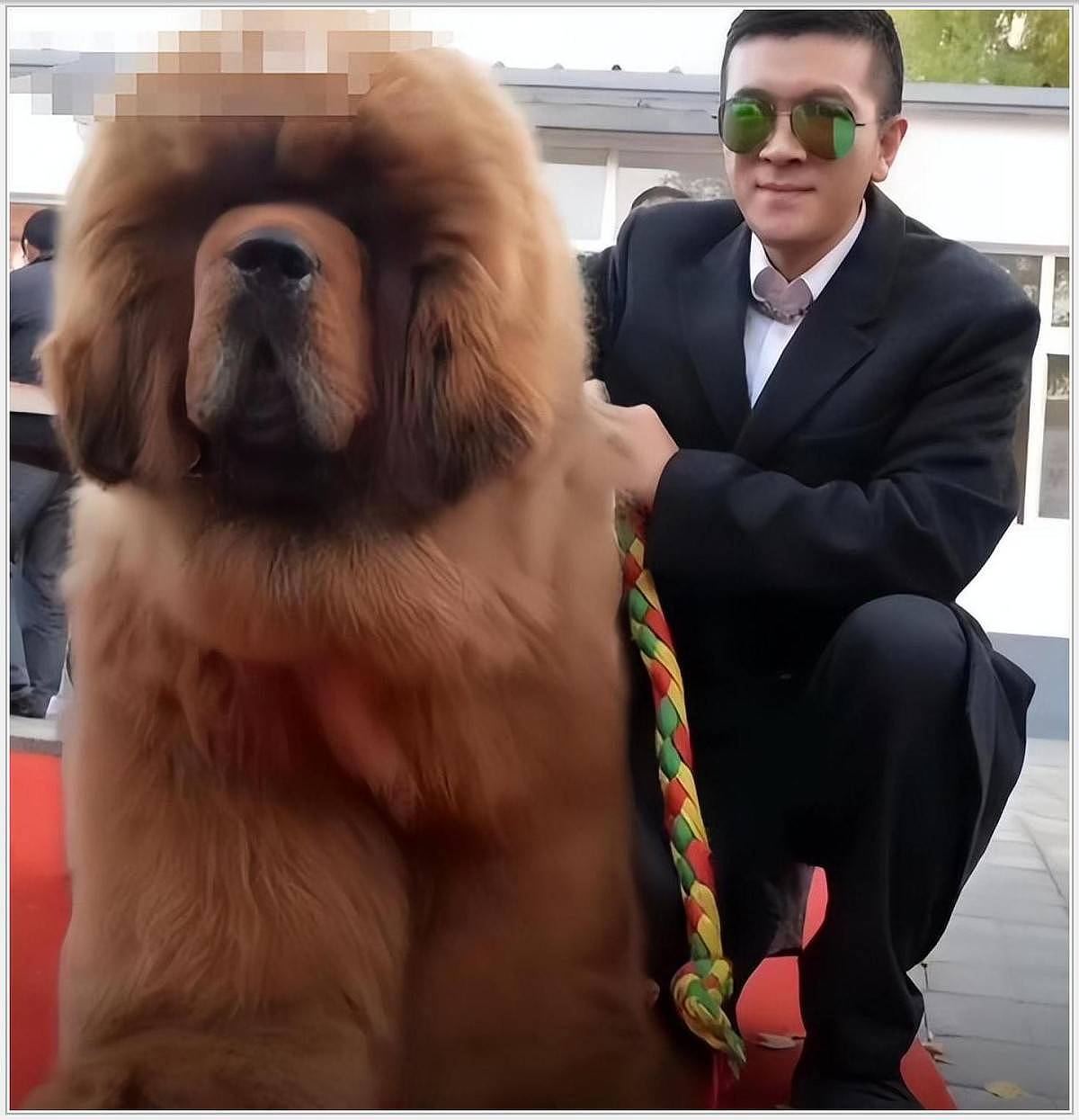 黄圣依录节目偷哭,导演叹离婚早离早好(组图) - 2