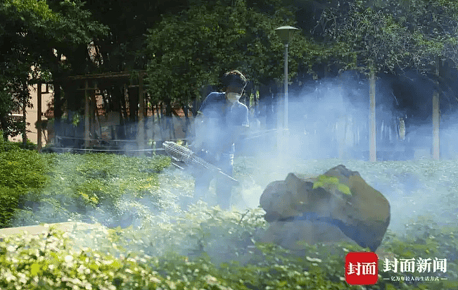 确诊超3600例!广东佛山基孔肯雅热疫情持续扩散,患者:疼到无法走路(组图) - 3