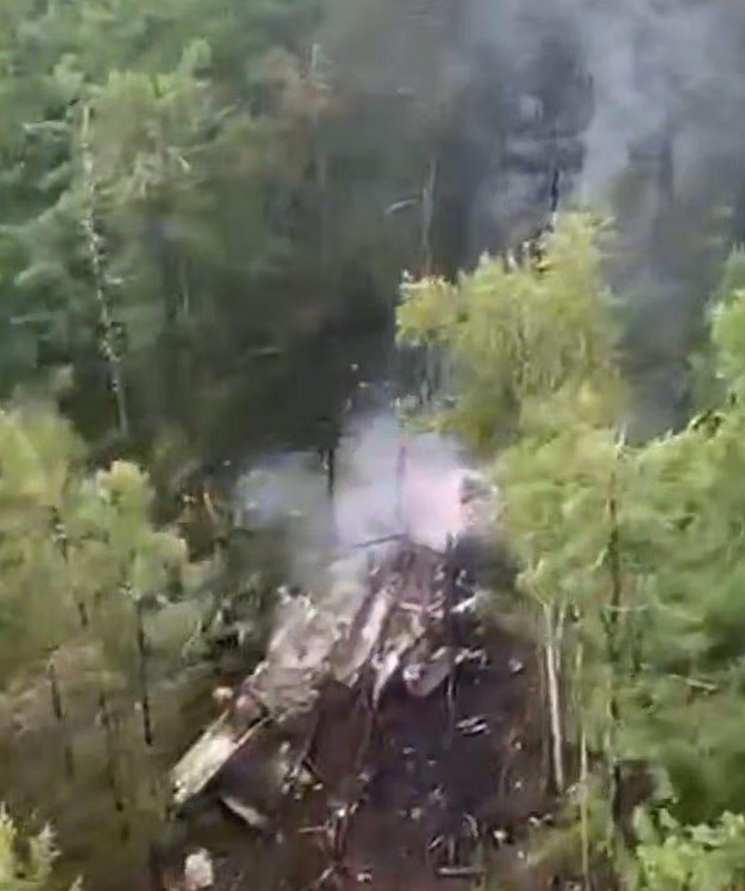 49人死！客机坠毁密林，一片焦黑无人生还！有中国乘客，市长驾机坠毁（视频/组图） - 5