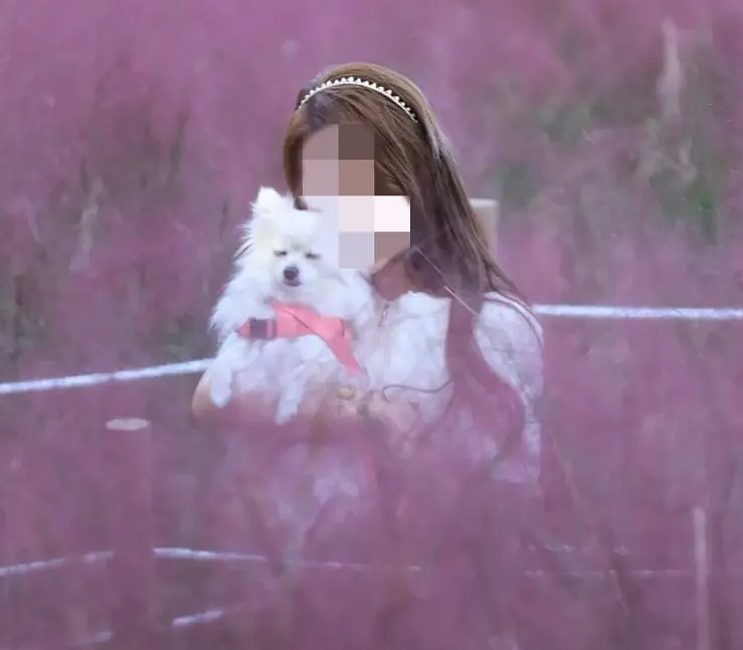 “证据不足”，澳洲名校中国女留学生旅游时在超豪华酒店遭性侵，案子被驳回，她患上了急性应激障碍（组图） - 2