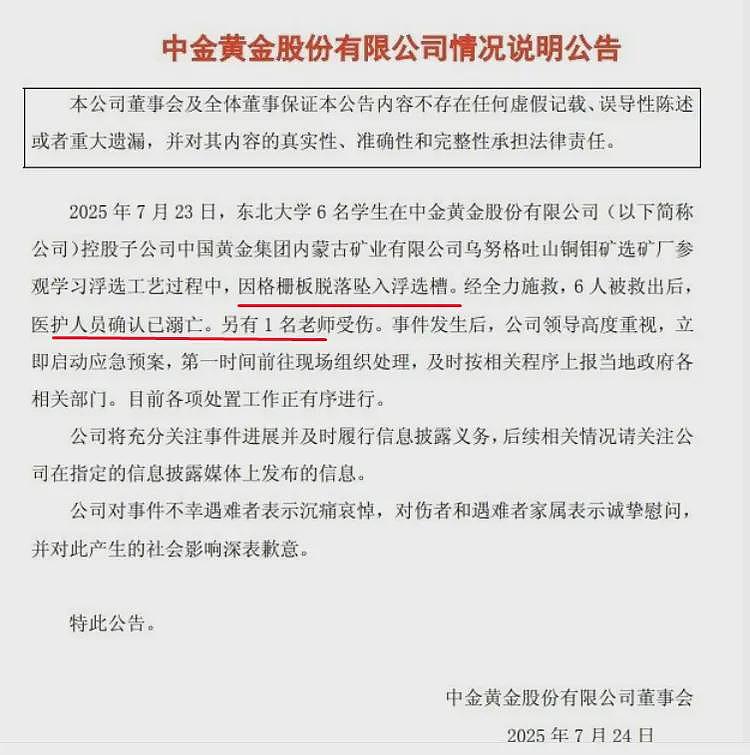 6名大学生参观选矿厂溺亡：夺命矿浆，被简化的死亡真相（组图） - 2