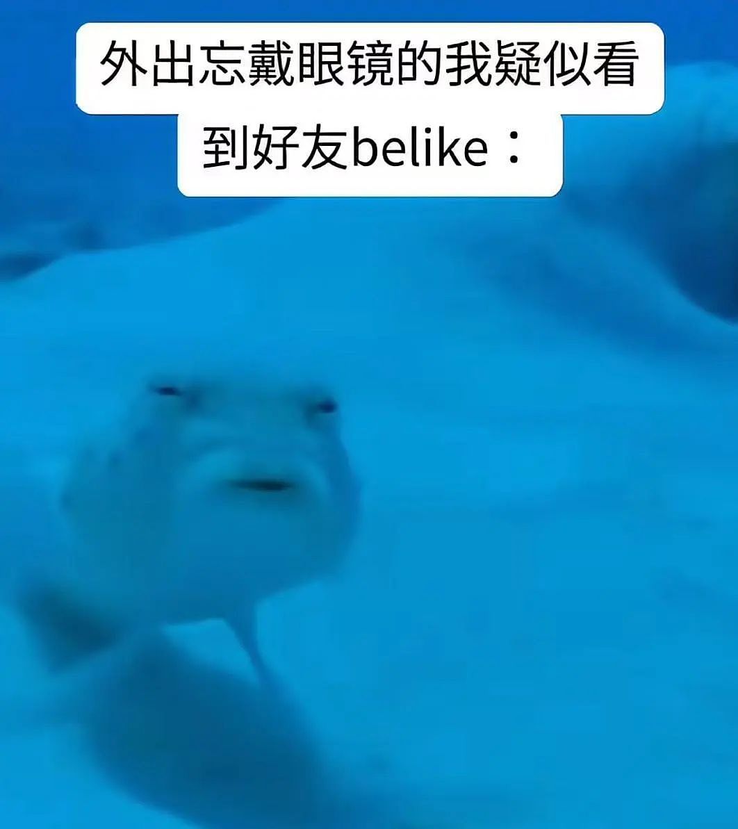 【爆笑】小三劝原配多关心老公…?网友:三姐爱上原配的抓马大戏(组图) - 50