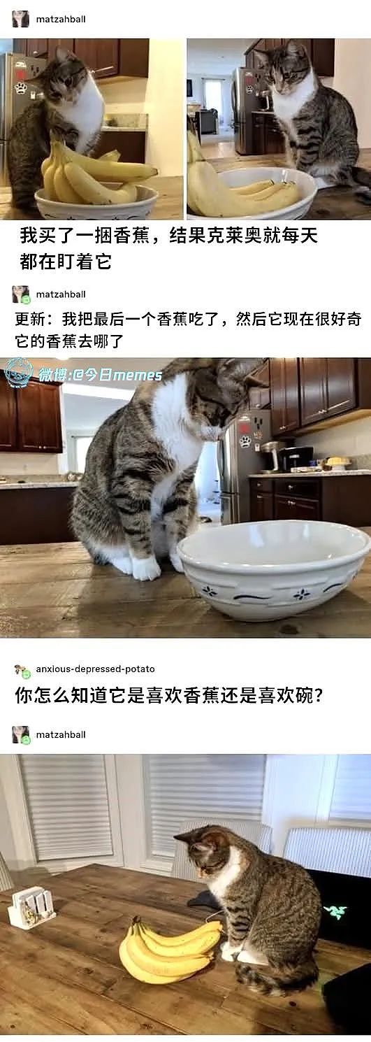 【爆笑】“约会到一半鞋子突然裂开了......”啊啊啊啊不敢睁开眼(组图) - 62