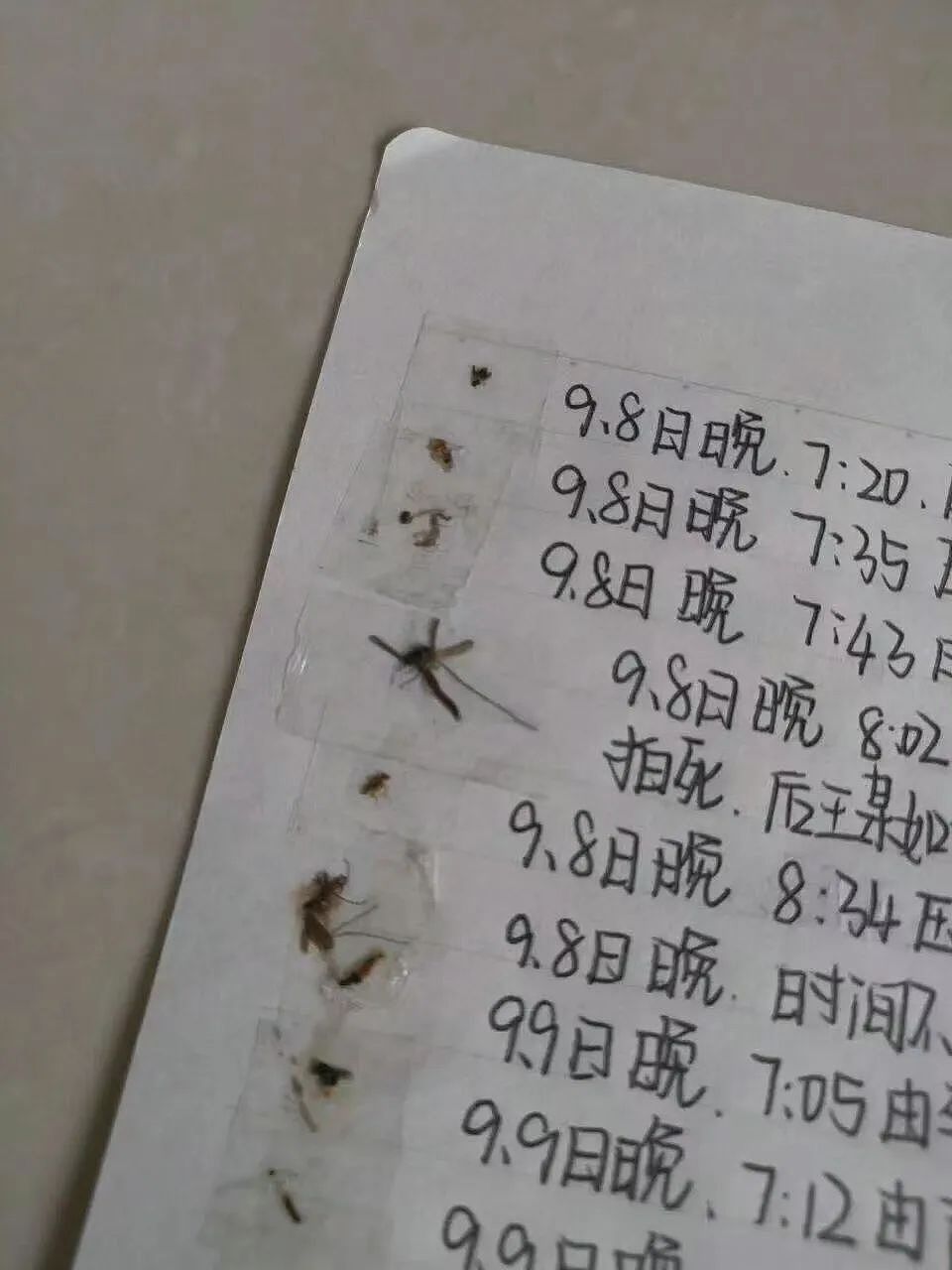 【爆笑】“遇到啥也不会的领导是什么体验？“ 哈哈哈哈哈哈厌蠢症犯了（组图） - 21