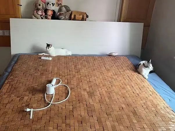 【爆笑】“遇到啥也不会的领导是什么体验？“ 哈哈哈哈哈哈厌蠢症犯了（组图） - 56