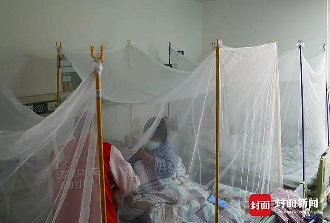 确诊超3000例！探访基孔肯雅热定点医院：患者称疼得“无法下地行走”（组图） - 1