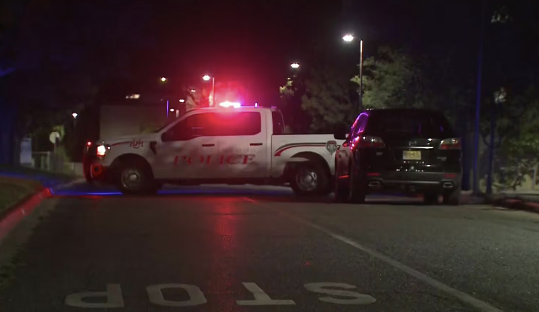 大型商场爆枪声，人群尖叫逃命警铃狂响！目击者亲述：有人拖婴儿车狂奔（组图） - 4