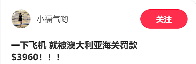 华人来澳探亲,刚下飞机就被拦!遭海关重罚近$4000,只因…(组图) - 1