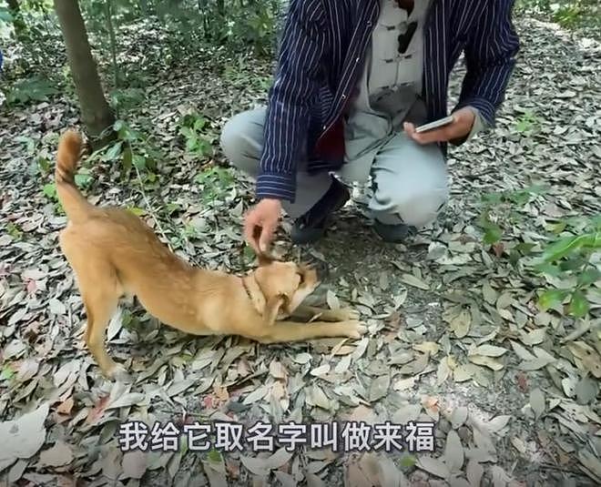 广西小伙上海送外卖，一天挣200在野外住了两年，37岁仍娶不起妻（组图） - 10