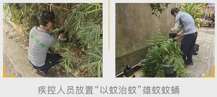 关于佛山的新型疫情,网友们有了这样一个联想(组图) - 16