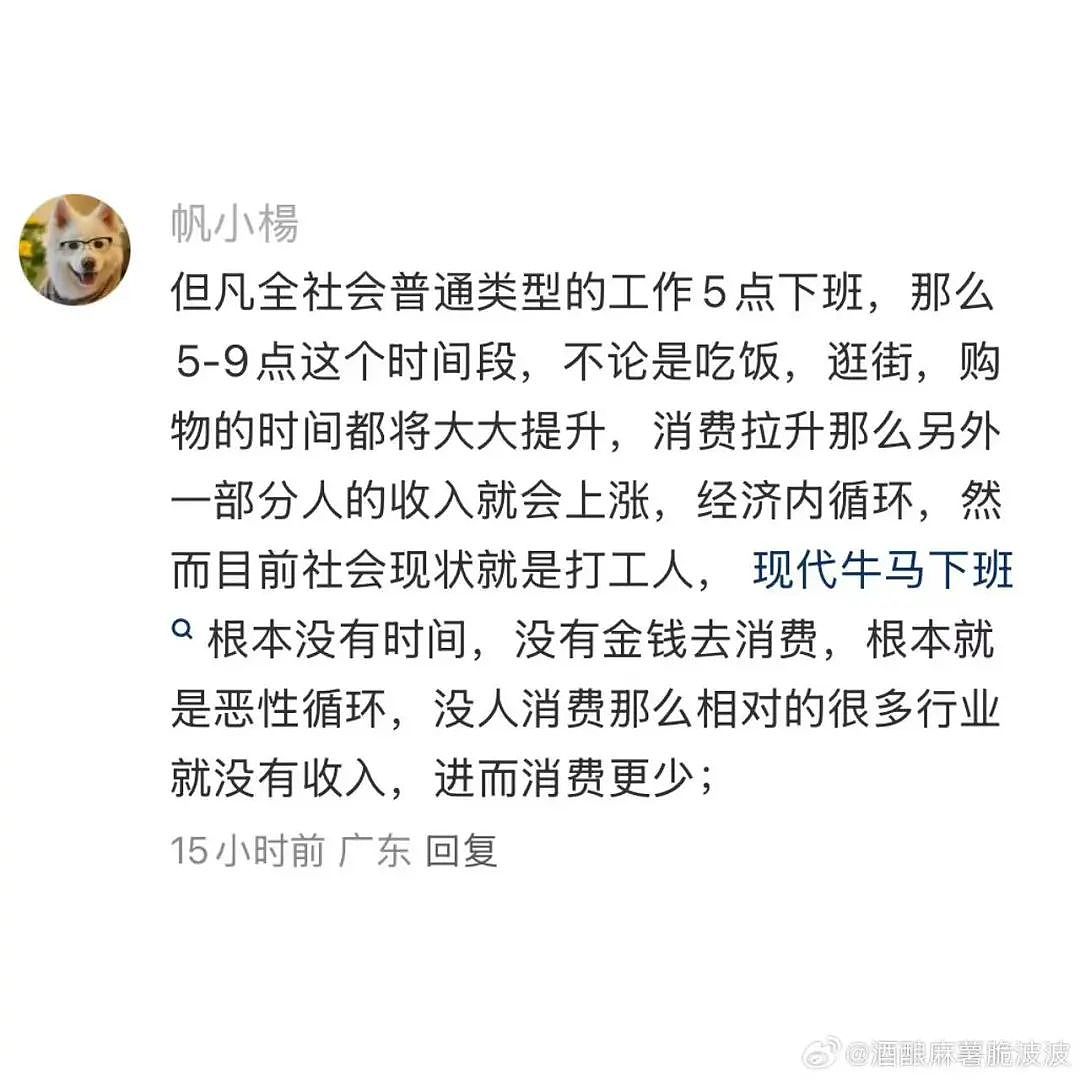 【爆笑】“遇到啥也不会的领导是什么体验？“ 哈哈哈哈哈哈厌蠢症犯了（组图） - 34