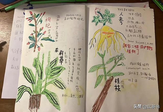 原来他就是姚晨的儿子，五官酷似爸爸，12岁身怀绝技成为她的骄傲（组图） - 6