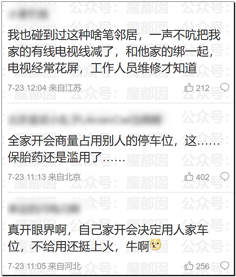 爆红全网！邻居想免费用我的车位，还要把家人妹妹硬塞给我（组图） - 36