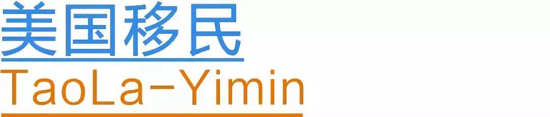 美国模特身穿“隐形上衣“登机，乘客纷纷投来惊讶目光，网友怒批：飞机不是T台（组图） - 20