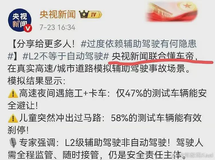 因为把遥遥领先给了特斯拉，懂车帝被打上不爱国的耻辱柱（组图） - 4