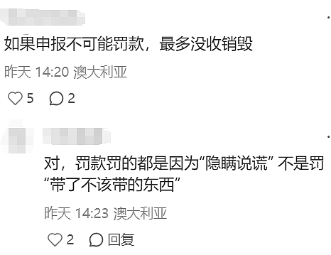 华人来澳探亲,刚下飞机就被拦!遭海关重罚近$4000,只因…(组图) - 6