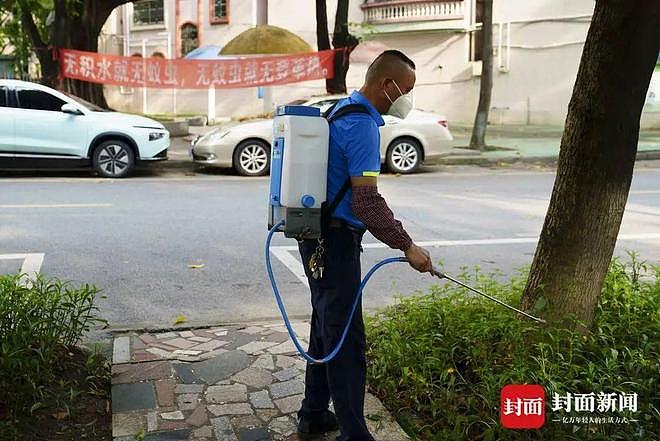 确诊超3000例！探访基孔肯雅热定点医院：患者称疼得“无法下地行走”（组图） - 4
