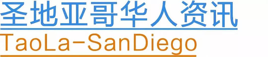 美国模特身穿“隐形上衣“登机，乘客纷纷投来惊讶目光，网友怒批：飞机不是T台（组图） - 10