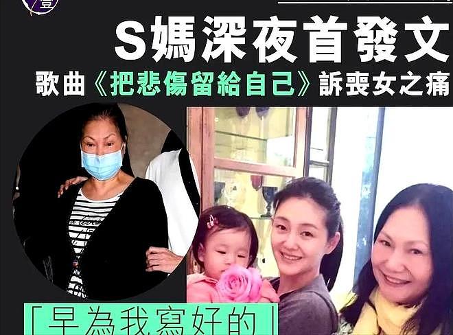 小S被指网暴亲姐姐，张兰律师曝光内幕后，为孩子主动示好和解（组图） - 14