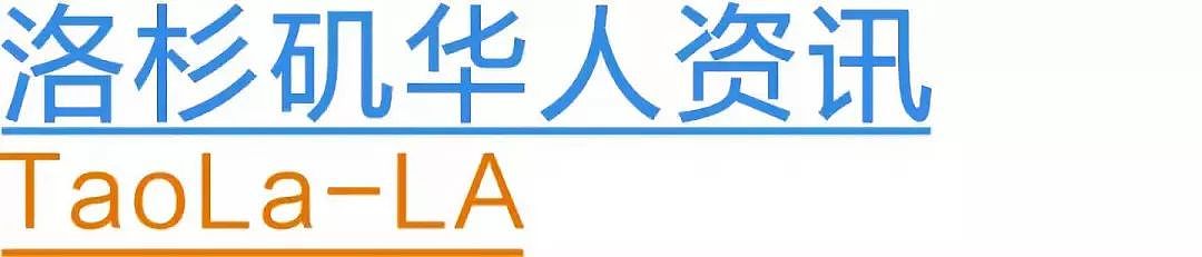 美国模特身穿“隐形上衣“登机，乘客纷纷投来惊讶目光，网友怒批：飞机不是T台（组图） - 8