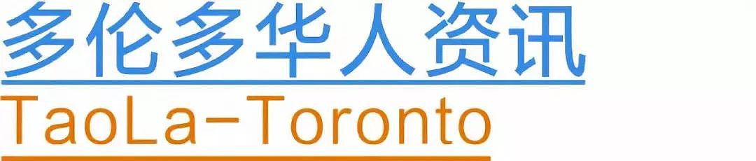 美国模特身穿“隐形上衣“登机，乘客纷纷投来惊讶目光，网友怒批：飞机不是T台（组图） - 27